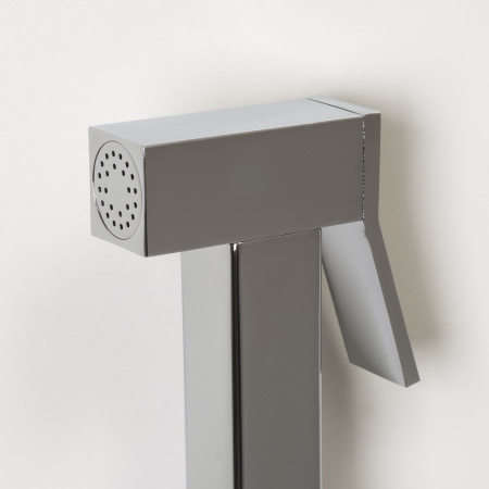 Гигиенический душ со смесителем WasserKraft A71138 хром